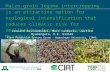 Maize-grain legume intercropping is an attractive option for ecological intensification that reduces climatic risk for smallholder farmers in central Mozambique