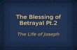 Joseph:Blessing of Betrayal