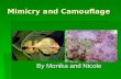 Mimicry and amouflage