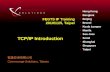 FEGTS IP training - TCP/IP Introduction