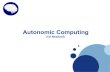 Autonomic Computing: Vision or Reality - Presentation