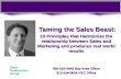 Hubsher's Taming The Sales Beast