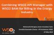 Combining WSO2 API Manager with WSO2 BAM for billing in the energy industry