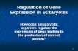 Regulation of gene expression in eukaryotes