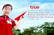 True Corporation's Business Plan for Mobile Broadband with Frequency Re-farming