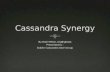 Cassandra synergy