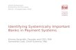 Identifying Systemically Important Banks in Payment Systems