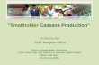 Tin Smallholder Cassava Production Hanoi June 09