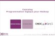OSDC.fr 2012 :: Cascalog : progammation logique pour Hadoop