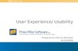 Three Pillar User Experience and Usability Capabilities