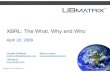 The What Why And Who Of Xbrl