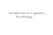 IB Psychology Cognitive