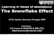 Learning in times of abundance:  The Snowflake Effect