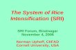 0619 The System of Rice Intensification (SRI)