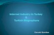 Internet Industry In Turkey And Turkish Blogosphere
