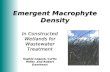 Macrophyte Density in Constructed Wetlands