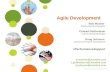 WEBINAR: "Agile Development"