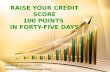 RAISE YOUR CREDIT SCORE100 POINTS IN FORTY-FIVE DAYS