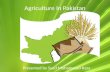 Agriculture in pakistan