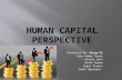 Human capital perspective