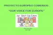 PROYECTO EUROPEO COMENIUS: OUR VOICE FOR EUROPE CEIP TINGUARO 2007-2009.