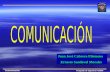 Posgrado de Ingeniería -UNAM Comunicación Juan José Cabrera Filomeno Ernesto Sandoval Morales.