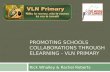 Vln Primary Overview 2012