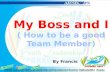 My boss and me (how to be a good team member)