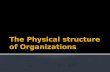 The Physical Structure Of Organizations