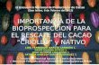 IX Encuentro Nacional de Productores de Cacao (San Isidro, 6 de Febrero del 2012) IMPORTANCIA DE LA BIOPROSPECCION PARA EL RESCATE DEL CACAO CRIOLLO y.