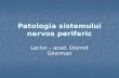 73459315 Patologia Sistemului Nervos Periferic Ro