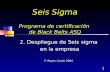 1 Seis Sigma Programa de certificación de Black Belts ASQ 2. Despliegue de Seis sigma en la empresa P. Reyes / Junio 2004.