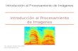 Introducción al Procesamiento de Imagenes Ing. Samuel Oporto Díaz (Mg) soporto@wiphala.net Introducción al Procesamiento de Imágenes.