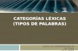 CATEGORÍAS LÉXICAS (TIPOS DE PALABRAS) CURSO DE COMPRENSIÓN DE LECTURA CELE-UNAM.
