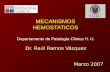 MECANISMOS HEMOSTATICOS Departamento de Patología Clínica H. U. Dr. Raúl Ramos Vázquez Marzo 2007.