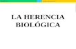 Biología y Geología 4º ESO GENÉTICA LA HERENCIA BIOLÓGICA.