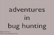 adventures in bug hunting