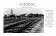 Sobibor mayo de 1942 Comienzan a funcionar las cámaras de gas de Sobibór: unos 150 mil muertos por CO. En otoño del 43 se desmantela el campo.