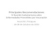 Principales Recomendaciones IV Reunión Sudamericana sobre Enfermedades Prevenibles por Vacunación Asunción, Paraguay 26-28 de Octubre de 2010.