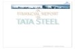 60757942 Financial Analysis of TATA STEEL