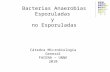Bacterias Anaerobias Esporuladas y no Esporuladas Cátedra Microbiología General FACENA – UNNE 2010.