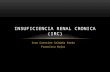 Insuficiencia Renal Cronica (IRC)