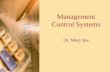 Management Control Systems Set A