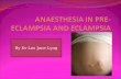 Anaesthesia in Pre-eclampsia and Eclampsia 2