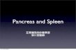 Spleen and Pancrease