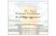 PPT Foreign Exchange Risks Explained