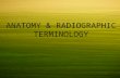 Anatomy & Radio Graphic Terminology