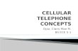 Cellular Telephone Concepts