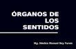 Histologia de Los Sentidos 2009