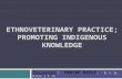 Ethnoveterinary Practice; Promoting Indigenous Knowledge